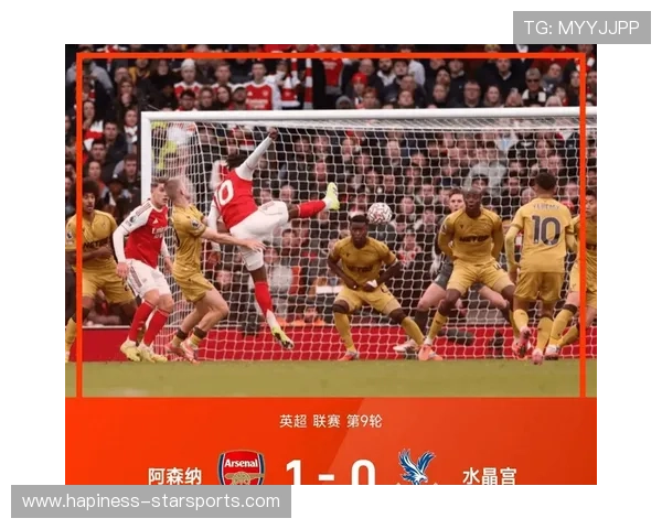 伯恩茅斯足球俱乐部崛起之路英超黑马战术解析与未来发展展望