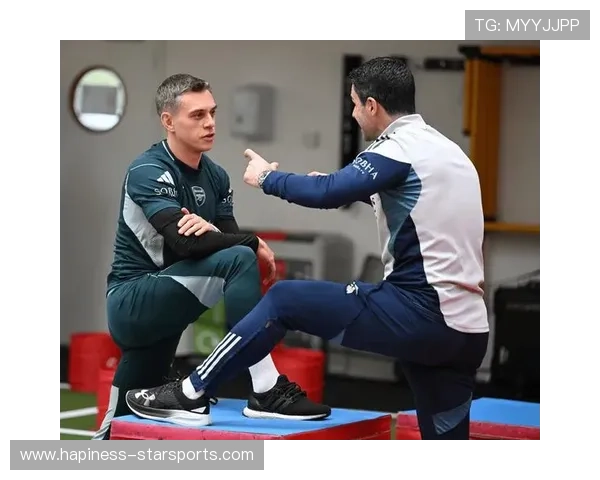 伯恩茅斯俱乐部宣布新赛季引援计划并对球队目标做出明确展望