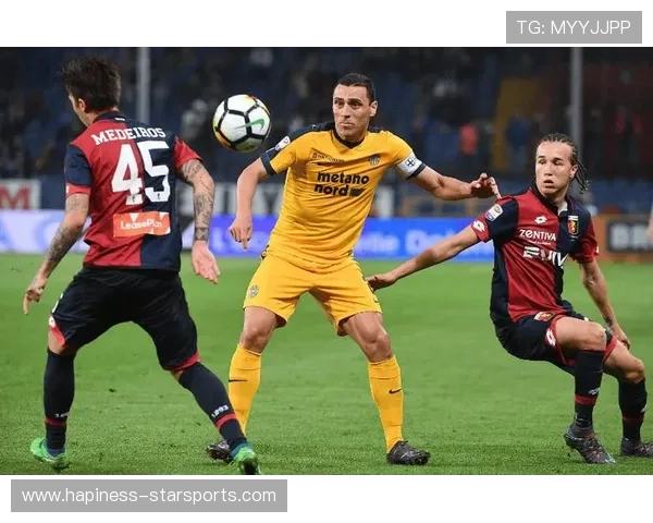 维罗纳俱乐部宣布新赛季目标聚焦年轻球员培养与战术革新